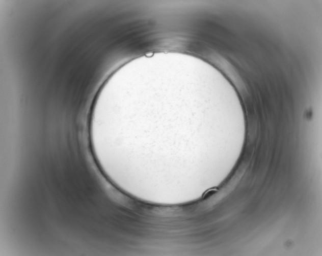 X0000103151434200809192018