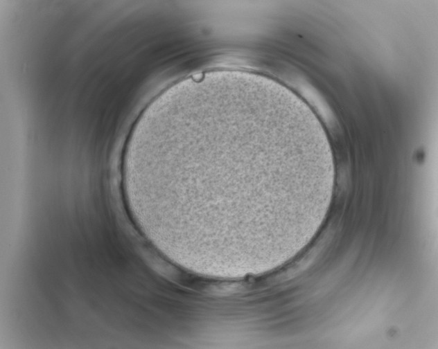 X0000103151435200809192018