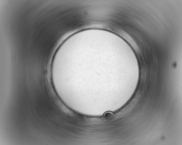 X0000103151436200809192018