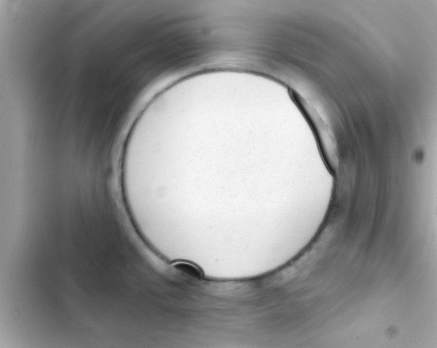 X0000103151437200809192018