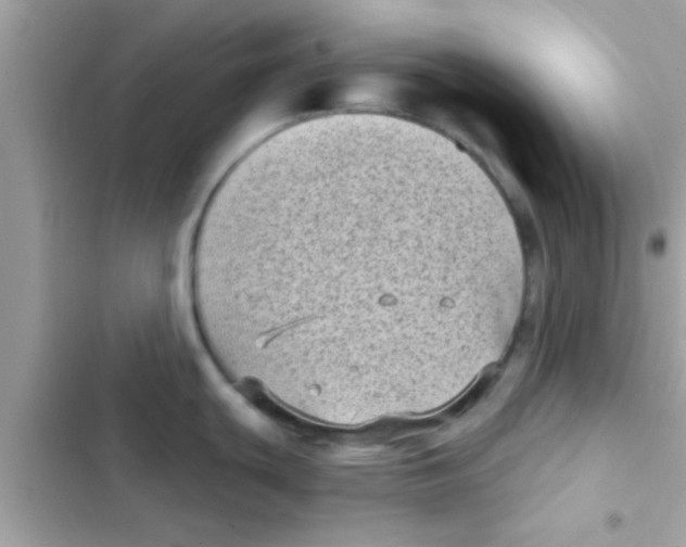 X0000103151439200809192018