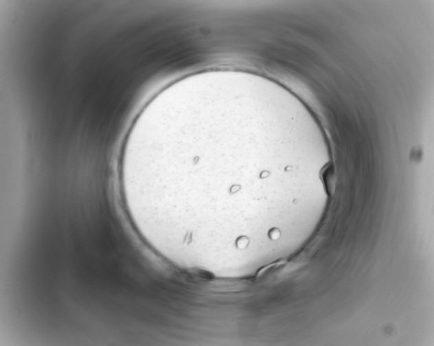 X0000103151440200809192018