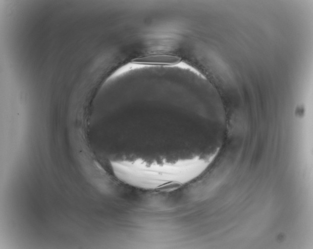 X0000103151441200809192018