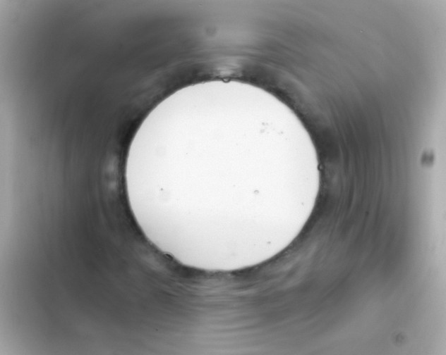 X0000103151442200809192018