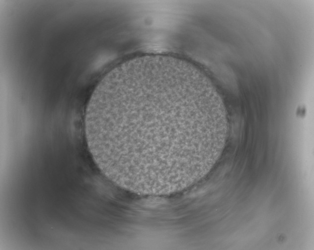 X0000103151446200809192018