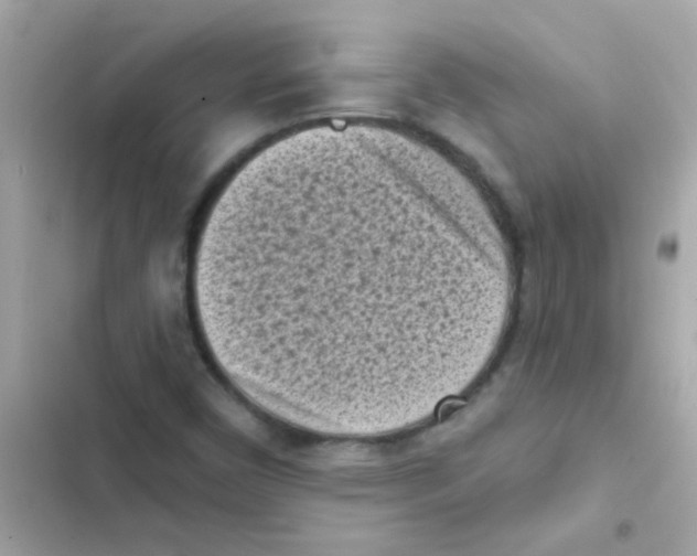 X0000103151450200809192017