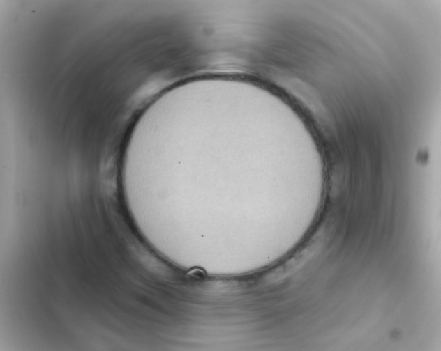 X0000103151451200809192017