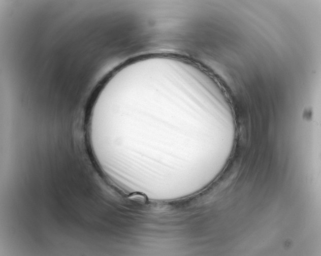 X0000103151452200809192017