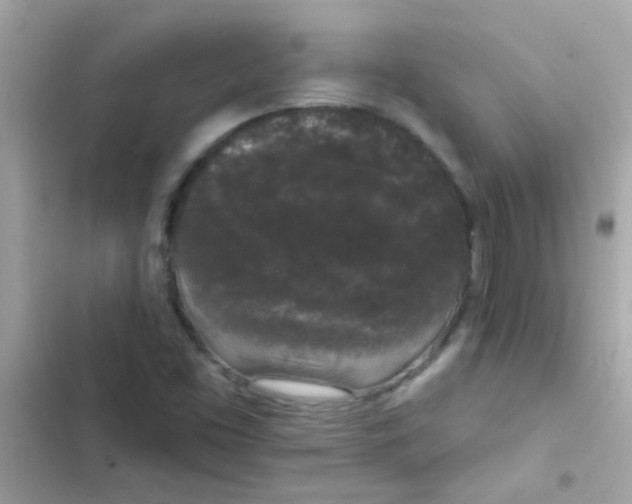 X0000103151453200809192017