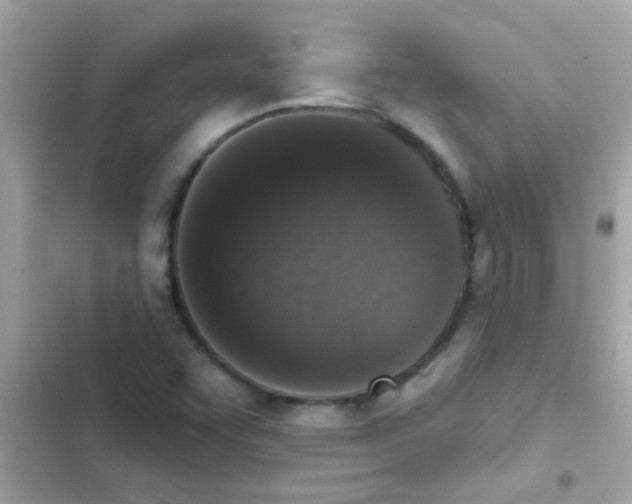 X0000103151455200809192017