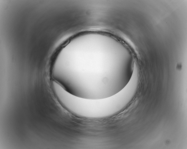 X0000103151456200809192017