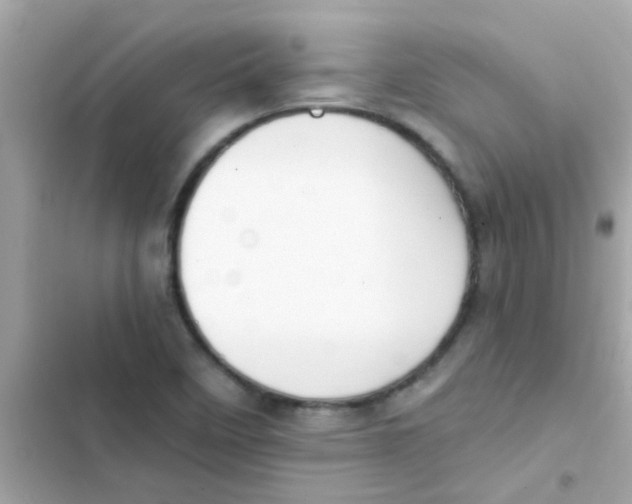 X0000103151458200809192017