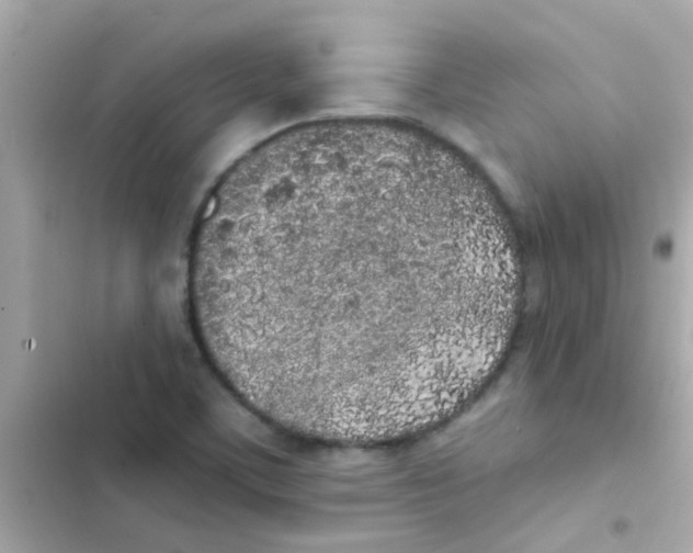 X0000103151459200809192017