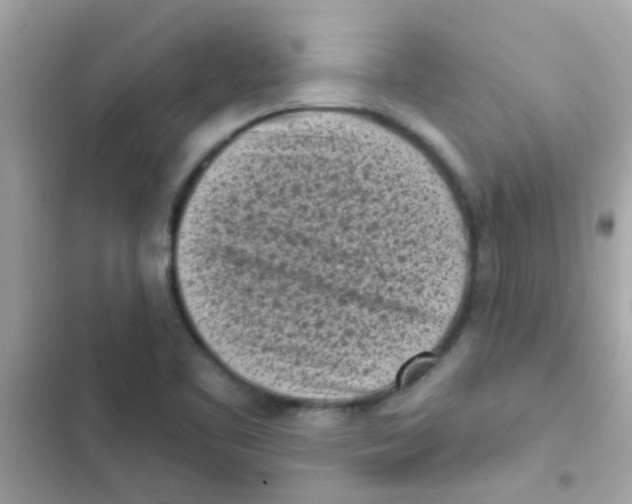 X0000103151461200809192017