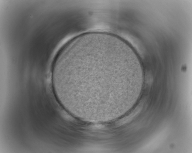 X0000103151462200809192017