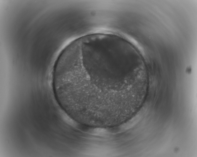 X0000103151463200809192017