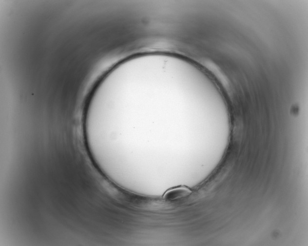 X0000103151464200809192017