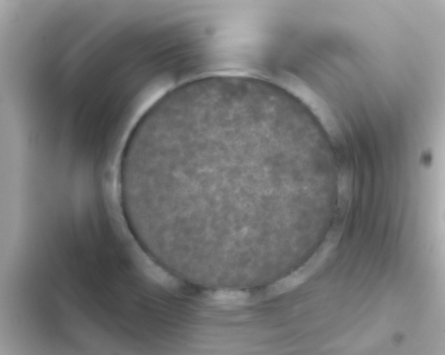 X0000103151466200809192017