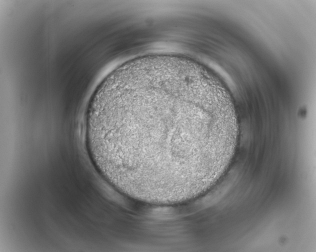 X0000103151467200809192017