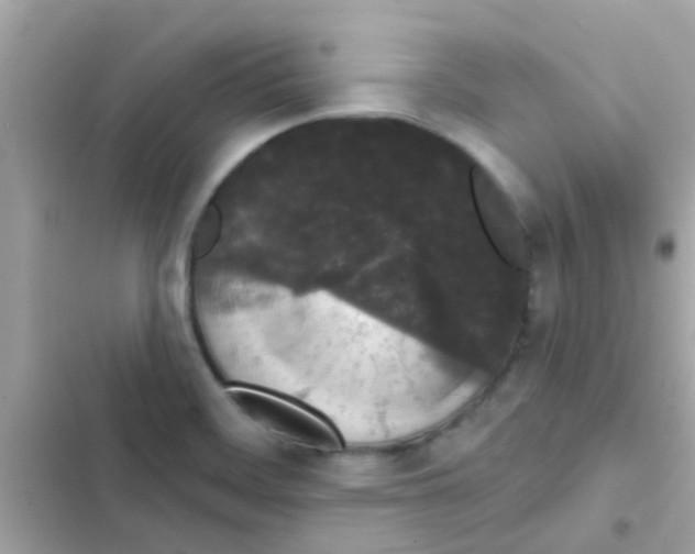 X0000103151468200809192017