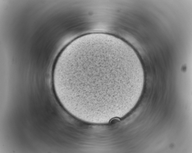 X0000103151469200809192017