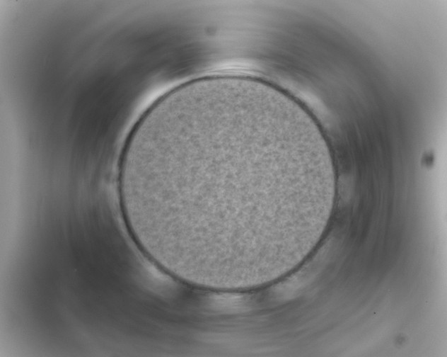 X0000103151470200809192017