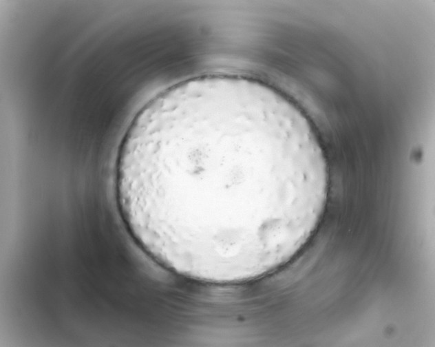 X0000103151471200809192017