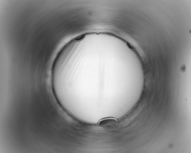 X0000103151472200809192017