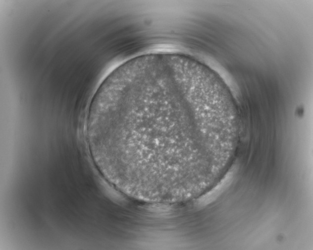 X0000103151473200809192017