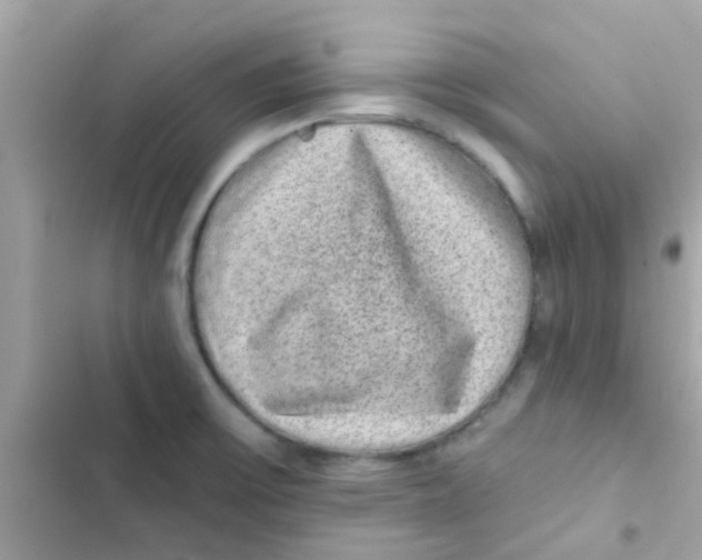 X0000103151475200809192017