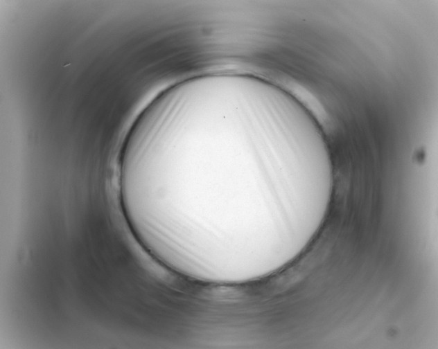 X0000103151476200809192017