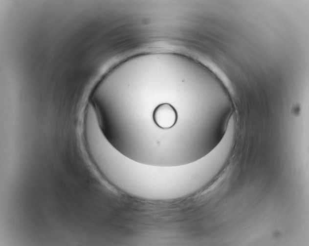 X0000103151477200809192017