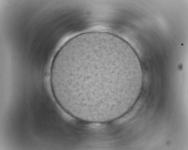 X0000103151478200809192017