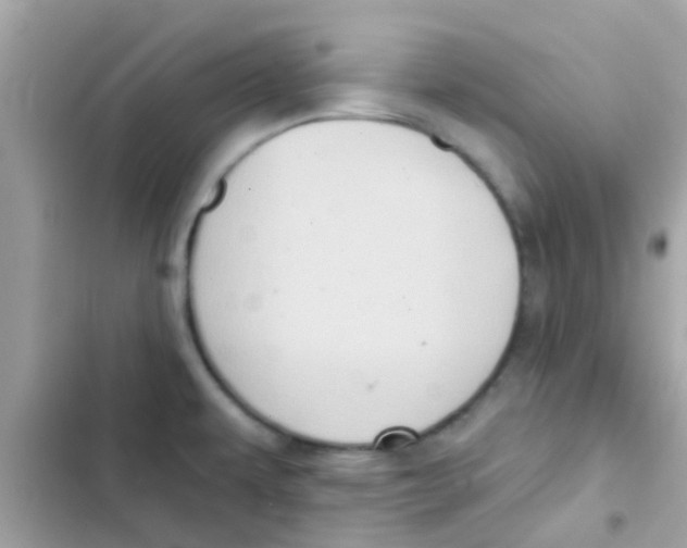 X0000103151479200809192017