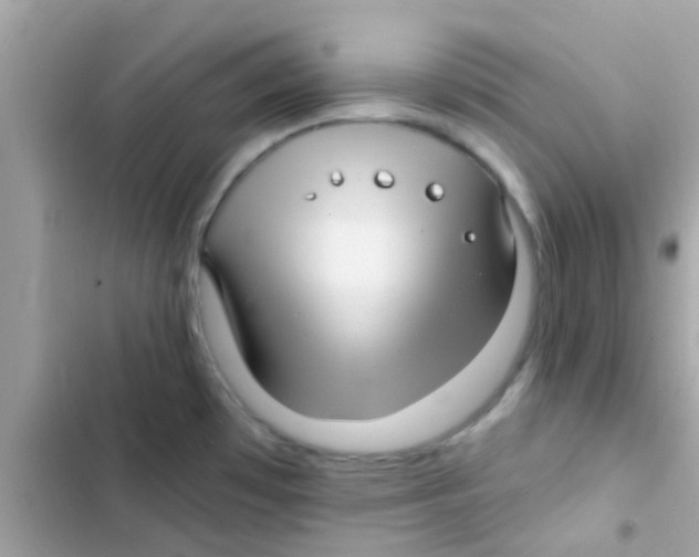 X0000103151481200809192017