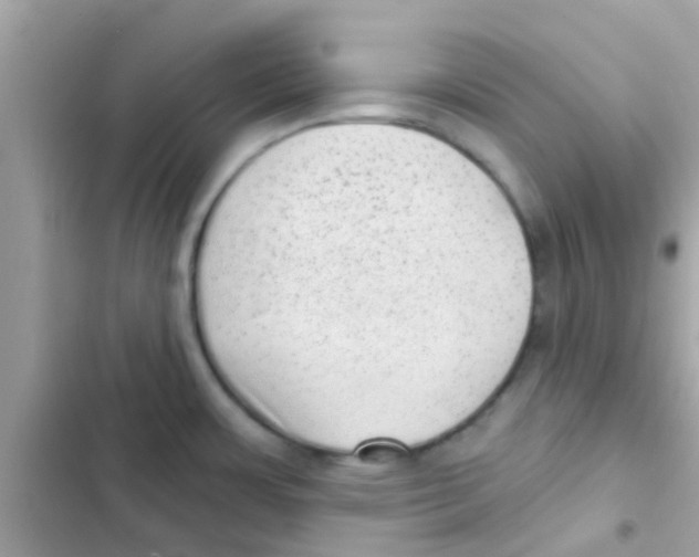 X0000103151483200809192017