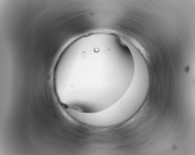 X0000103151484200809192017