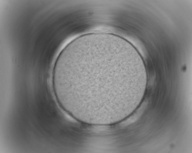 X0000103151486200809192017