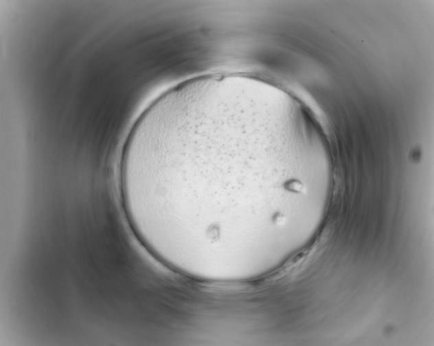 X0000103151487200809192017