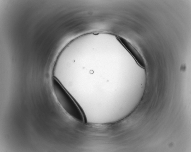 X0000103151488200809192017