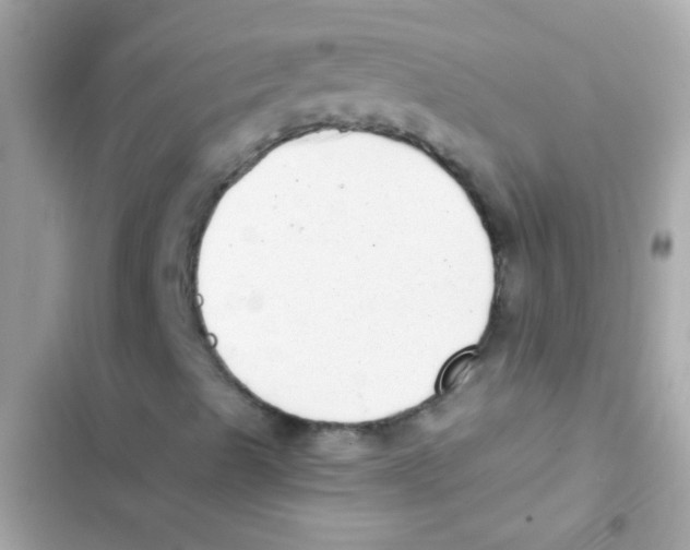 X0000103151489200809192016