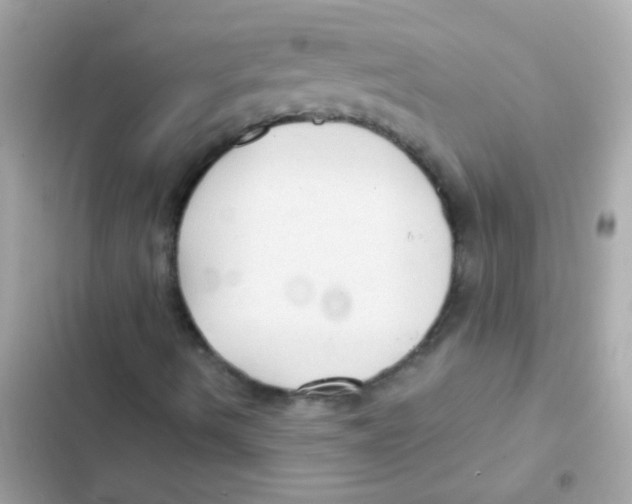 X0000103151490200809192016