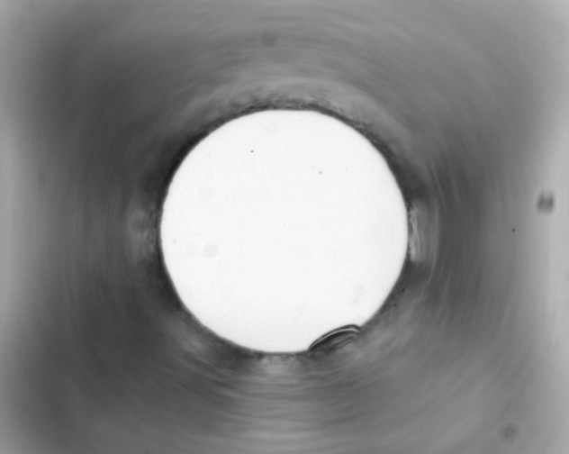 X0000103151491200809192016