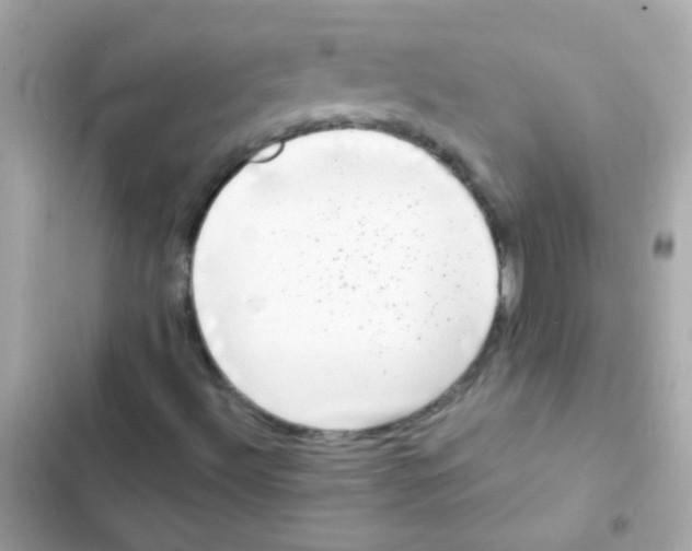 X0000103151492200809192016