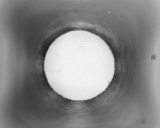 X0000103151493200809192016