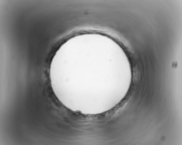 X0000103151494200809192016