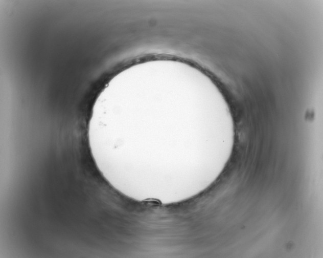 X0000103151495200809192016