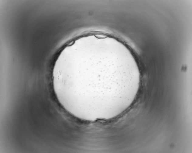 X0000103151496200809192016