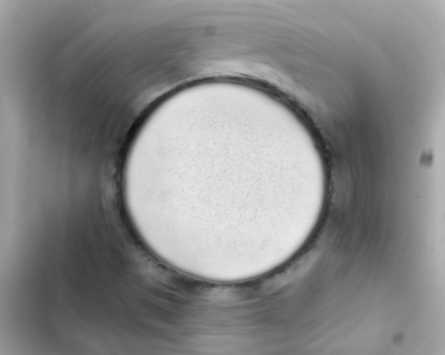 X0000103151497200809192016