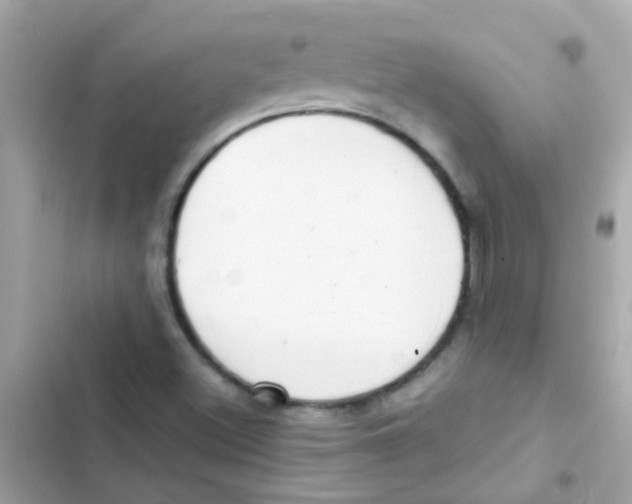 X0000103151500200809192016